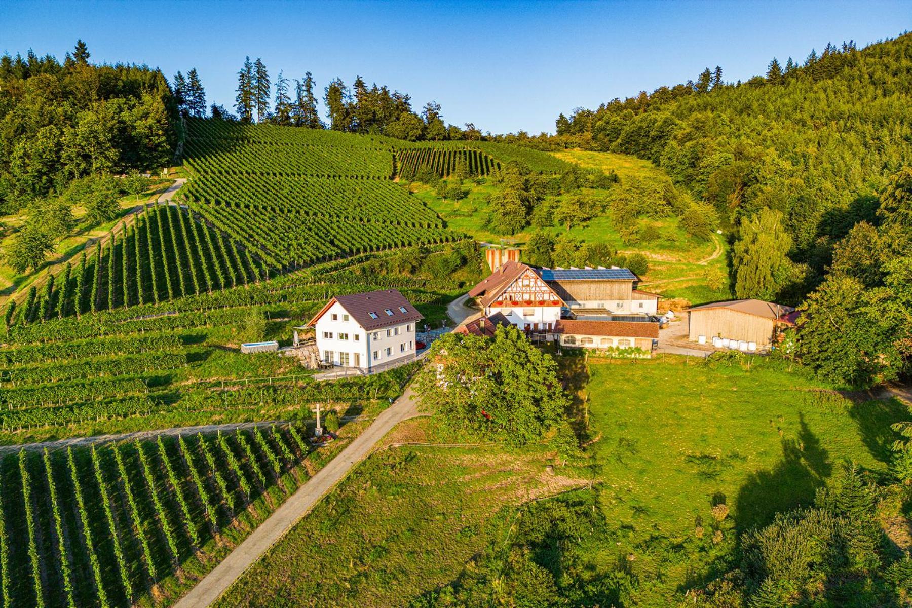 Paradieshof Lautenbach Extérieur photo